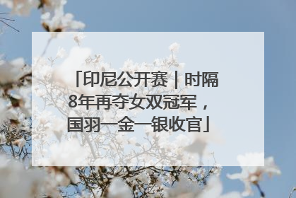 印尼公开赛｜时隔8年再夺女双冠军，国羽一金一银收官