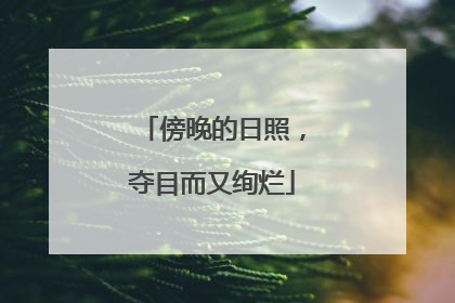 傍晚的日照，夺目而又绚烂