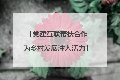 党建互联帮扶合作 为乡村发展注入活力
