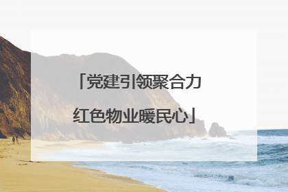 党建引领聚合力 红色物业暖民心