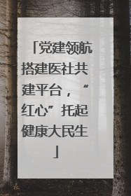 党建领航搭建医社共建平台，“红心”托起健康大民生
