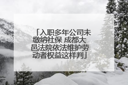 入职多年公司未缴纳社保 成都大邑法院依法维护劳动者权益这样判
