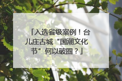 入选省级案例！台儿庄古城“国潮文化节”何以破圈？