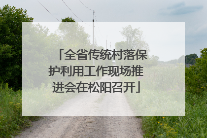 全省传统村落保护利用工作现场推进会在松阳召开
