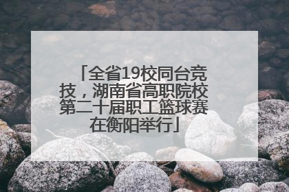 全省19校同台竞技，湖南省高职院校第二十届职工篮球赛在衡阳举行