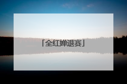全红婵退赛