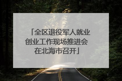 全区退役军人就业创业工作现场推进会在北海市召开