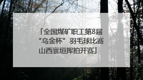 全国煤矿职工第8届“乌金杯”羽毛球比赛山西襄垣挥拍开赛