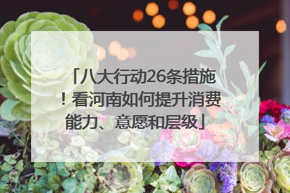 八大行动26条措施！看河南如何提升消费能力、意愿和层级