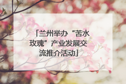 兰州举办“苦水玫瑰”产业发展交流推介活动