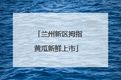 兰州新区拇指黄瓜新鲜上市