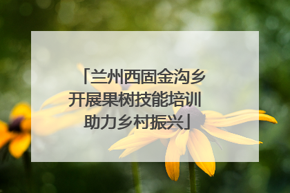兰州西固金沟乡开展果树技能培训 助力乡村振兴