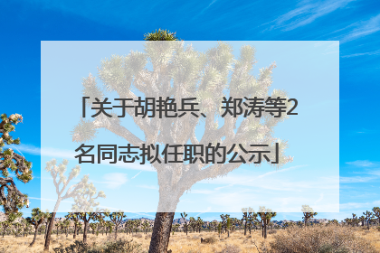 关于胡艳兵、郑涛等2名同志拟任职的公示