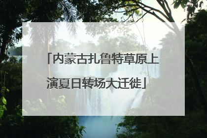 内蒙古扎鲁特草原上演夏日转场大迁徙