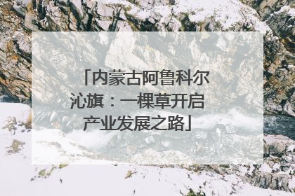 内蒙古阿鲁科尔沁旗：一棵草开启产业发展之路