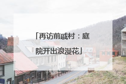 再访前戚村：庭院开出浪漫花