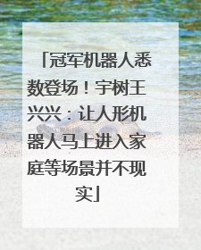 冠军机器人悉数登场！宇树王兴兴：让人形机器人马上进入家庭等场景并不现实