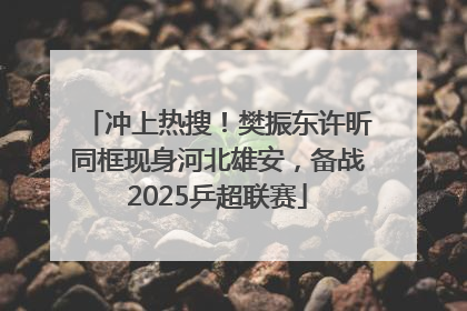 冲上热搜！樊振东许昕同框现身河北雄安，备战2025乒超联赛