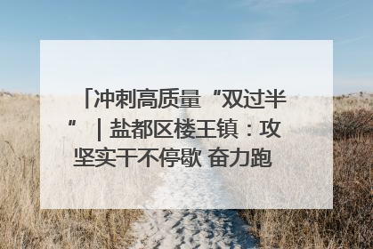 冲刺高质量“双过半”｜盐都区楼王镇：攻坚实干不停歇 奋力跑赢“上半场”