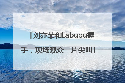 刘亦菲和Labubu握手，现场观众一片尖叫