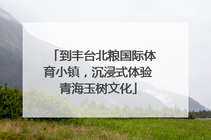 到丰台北粮国际体育小镇，沉浸式体验青海玉树文化