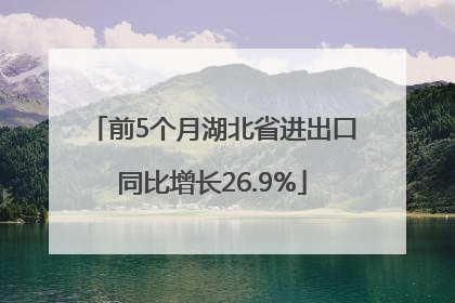 前5个月湖北省进出口同比增长26.9%