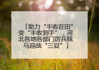助力“丰收在田”变“丰收到手”，河北各地各部门厉兵秣马迎战“三夏”