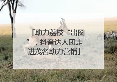 助力荔枝“出圈”，抖音达人团走进茂名助力营销