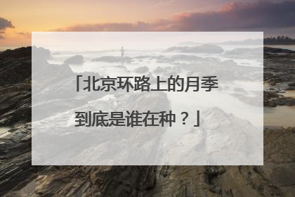 北京环路上的月季到底是谁在种？