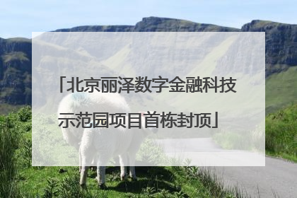 北京丽泽数字金融科技示范园项目首栋封顶