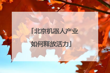北京机器人产业如何释放活力