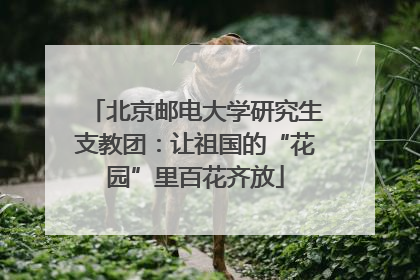 北京邮电大学研究生支教团：让祖国的“花园”里百花齐放