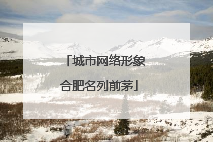 城市网络形象合肥名列前茅
