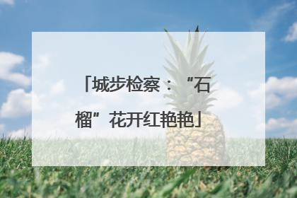 城步检察：“石榴”花开红艳艳