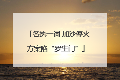 各执一词 加沙停火方案陷“罗生门”