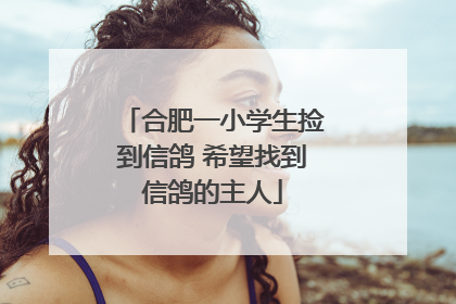 合肥一小学生捡到信鸽 希望找到信鸽的主人