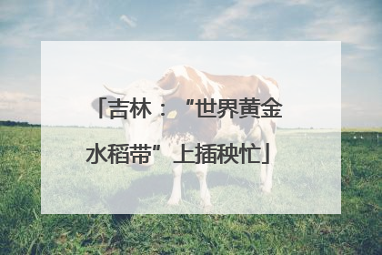 吉林：“世界黄金水稻带”上插秧忙