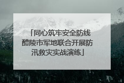 同心筑牢安全防线 醴陵市军地联合开展防汛救灾实战演练