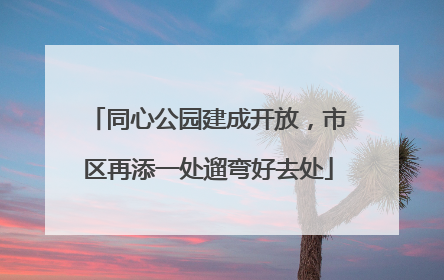 同心公园建成开放，市区再添一处遛弯好去处
