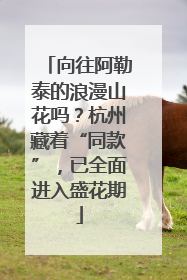 向往阿勒泰的浪漫山花吗？杭州藏着“同款”，已全面进入盛花期