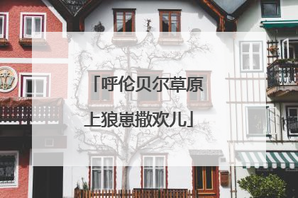 呼伦贝尔草原上狼崽撒欢儿