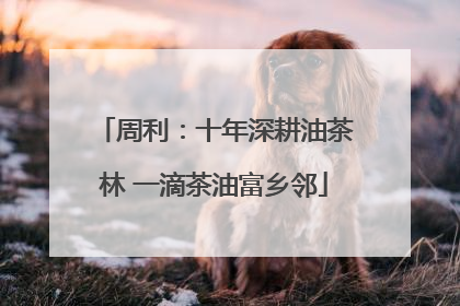 周利：十年深耕油茶林 一滴茶油富乡邻