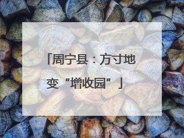 周宁县：方寸地变“增收园”