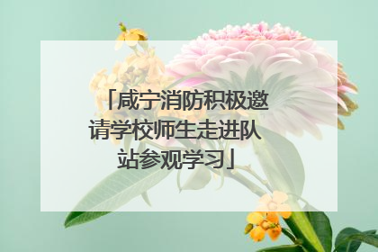 咸宁消防积极邀请学校师生走进队站参观学习