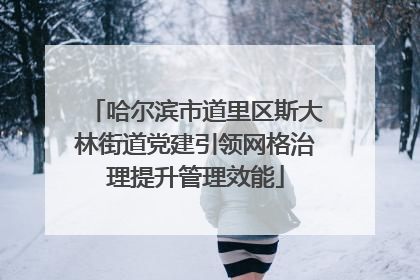 哈尔滨市道里区斯大林街道党建引领网格治理提升管理效能