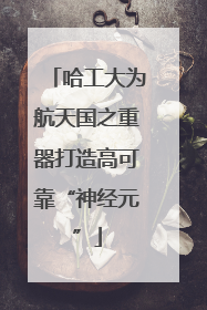 哈工大为航天国之重器打造高可靠“神经元”