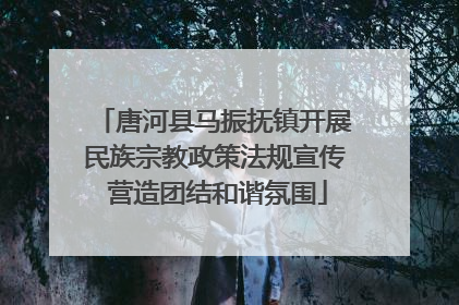 唐河县马振抚镇开展民族宗教政策法规宣传 营造团结和谐氛围