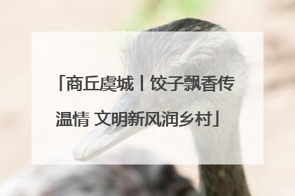 商丘虞城丨饺子飘香传温情 文明新风润乡村