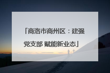 商洛市商州区：建强党支部 赋能新业态