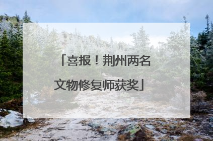 喜报！荆州两名文物修复师获奖